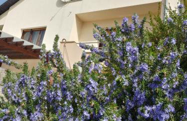 Apartman Arena - Foto 16