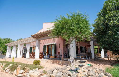 Aires Azules del Tomir - Foto 35