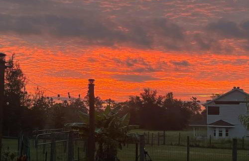 DeLand Dome House- 98 Inch TV - Open Kitchen - Near Bridle Oaks - Photo 36