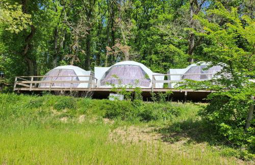 Domaine de Massoulac - Foto 2