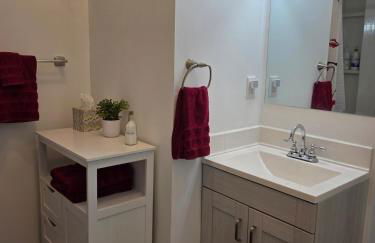 Beautifully Renovated Downtown 1Bed 1 Bath Apt, Pet Friendly - Foto 22