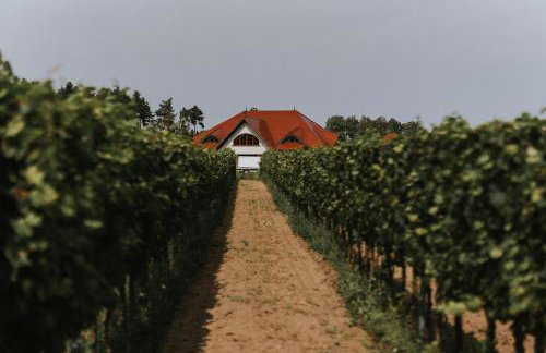 Apartamenty Winnica Milsko - Foto 10