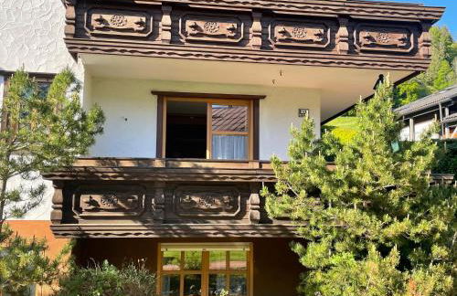 Ferienwohnungen Alpentraum - Tiefengrün und Tiefenblau - Photo 6