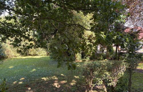 Ostfriesland-Haus - Foto 15