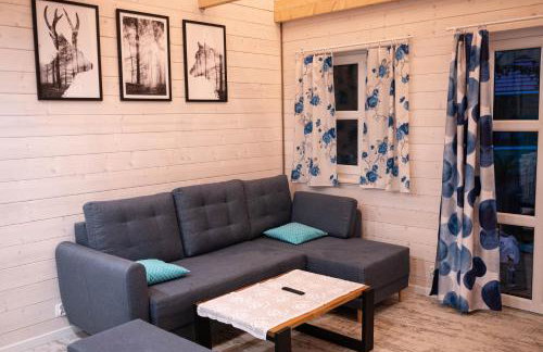 Kwiat Paproci - Foto 9