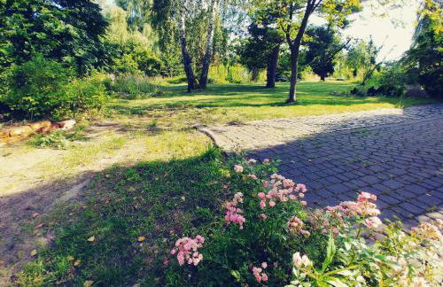 Dąbrowski - Photo 8