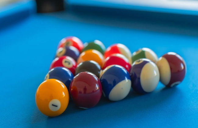 Ferienhaus mit Pool und Sauna am Duemmer See - Foto 36