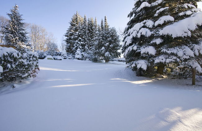 Landhaus Fischer - Foto 51