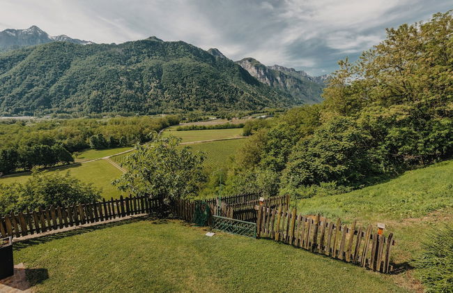 Coronata Haus - Photo 45