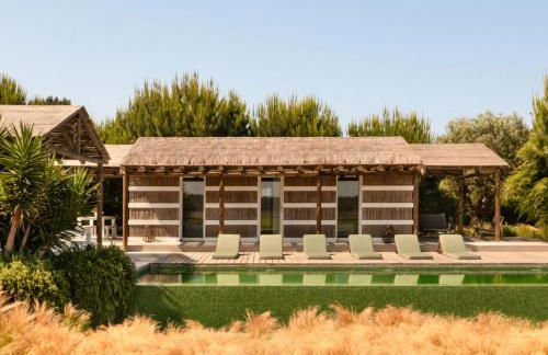 Flor de Arroz - Foto 5