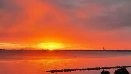 Traumwohnung zur Sonnenseite an der Ostsee - Foto 2