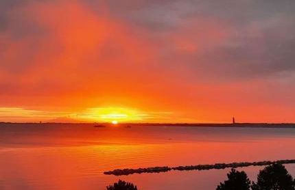 Traumwohnung zur Sonnenseite an der Ostsee - Foto 2
