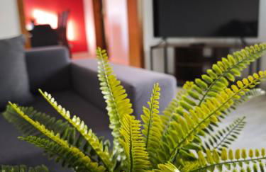 FeWo Linnich für 6 Personen und 2 Hunde inklusive überdachter Terrasse - Photo 22