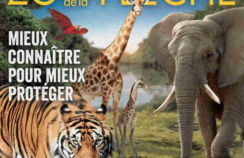 Gîte une histoire de village - Photo 32