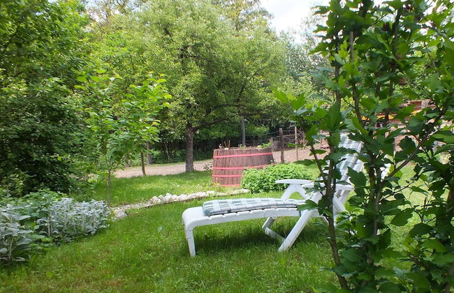 Ferienhaus Waldhof - Foto 14