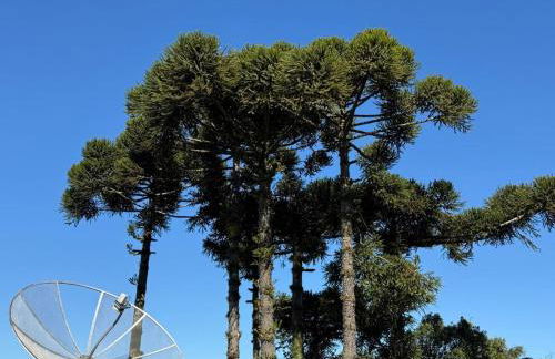 Sua Casa no Centro Gramado, 1km Rua Coberta - Foto 21
