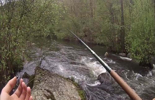 Moulin de Record - Foto 31