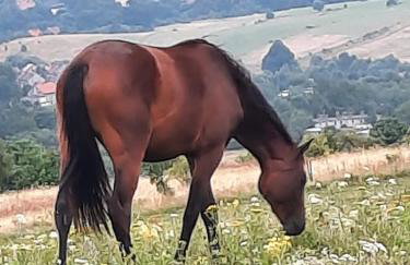 Domek Ostoja - Foto 63