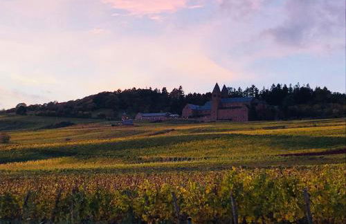 Modernes Apartment am Waldrand - Foto 11