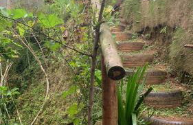 Chácara Monte das Oliveiras - Foto 3