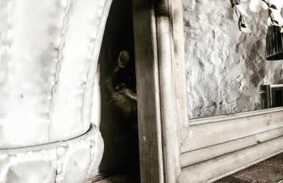 Podere Pievina Delle Corti - Dimora di Campagna - Photo 47