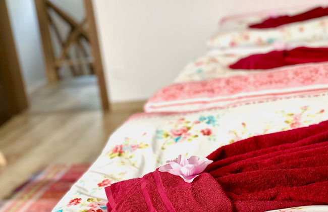 Villa Jarka - Foto 14