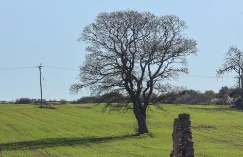 Beacon House - Photo 55