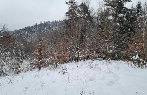 Morowo chałupa - Photo 57