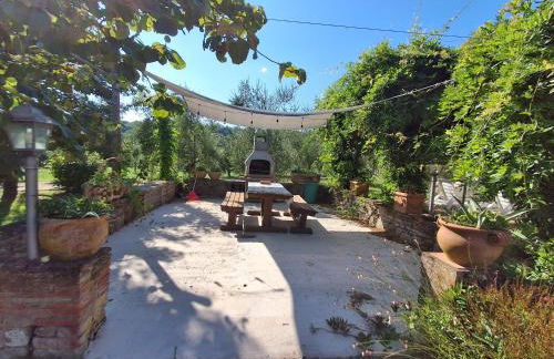 Fattoria Antognoni - Foto 75