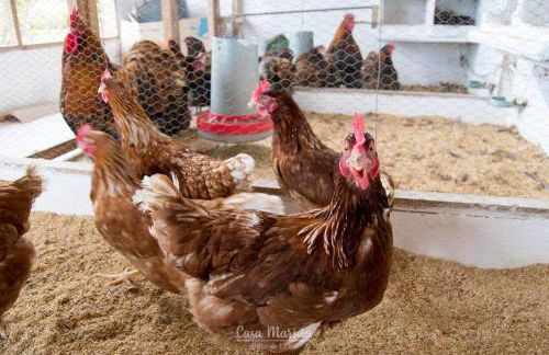 La Casa de Marieta "A" - Foto 39