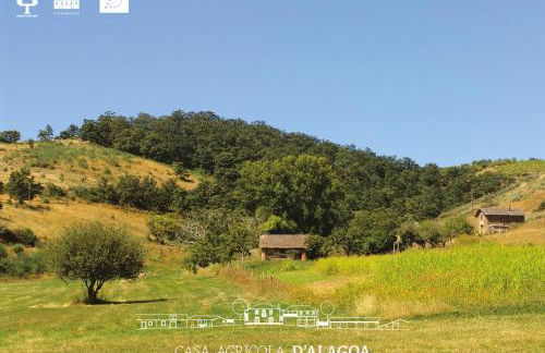 Quinta da Alagoa - Foto 75