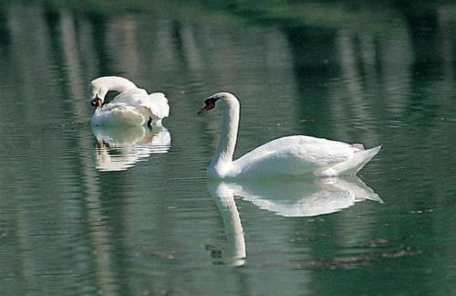 Apartment in Umbria With Garden - Photo 49