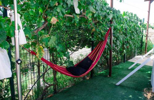 Cueva La Panadera - CuevasCazorla - Foto 21