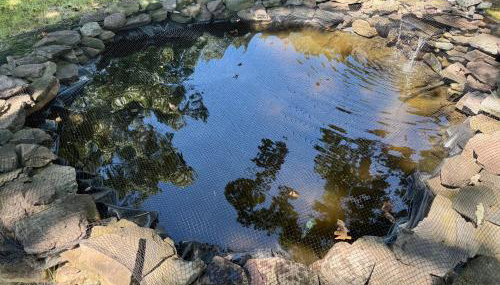 Sai Rakshit Villa on Maurice River - Foto 5