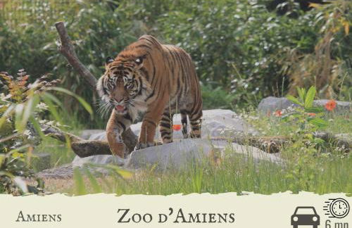 Le Chat d'Or - Grande cuisine - Foto 18