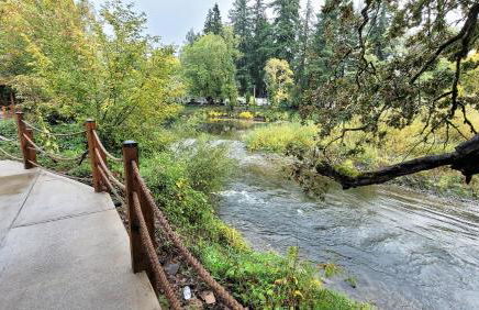 Tranquil Riverfront Retreat - Foto 5