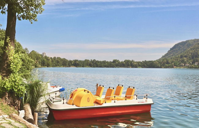 Rododendro Rosso in Ispra - Foto 30