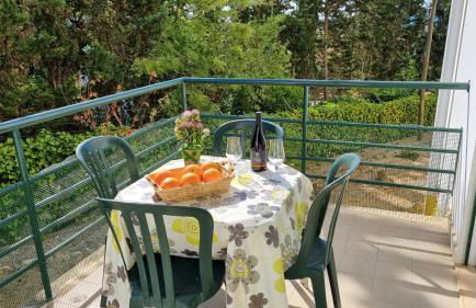 Meia Praia - Foto 31