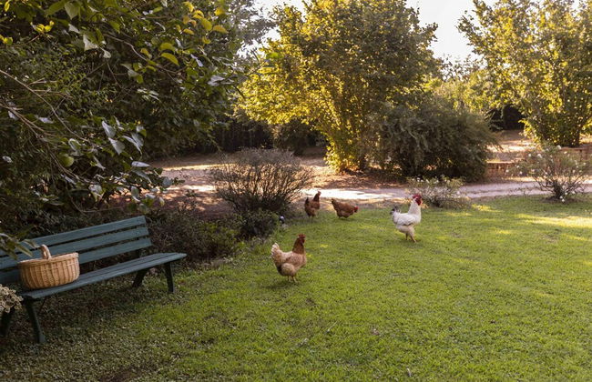 Villa Spreca in Capranica - Foto 37