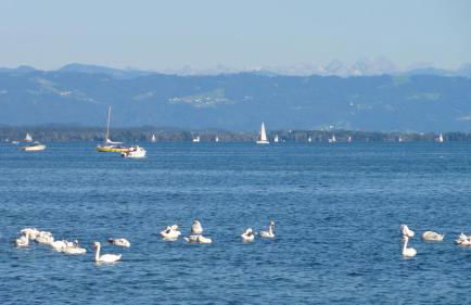 Gästehaus zum Landesteg - Foto 59