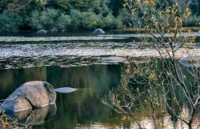 Chambre d'hôtes cosy Le Chalet -Tarn - Foto 7