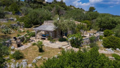 Pajara Rugiada - Foto 5, Garden view