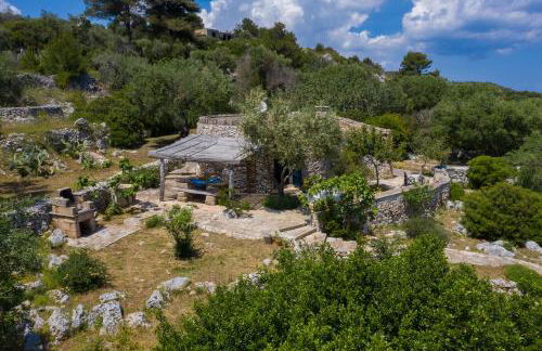 Pajara Rugiada - Foto 5