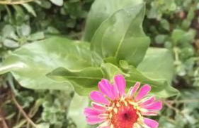 Finca Marina Turismo Rural - Foto 59