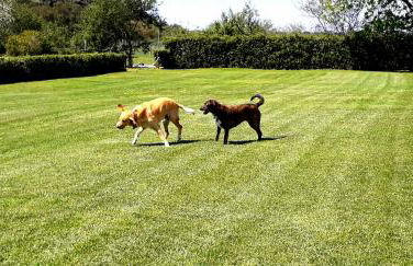 Agriturismo Ristorante Monte Argentario - Foto 56