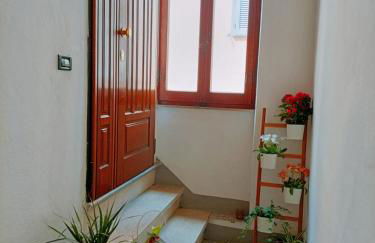 Vien mequé - Photo 9