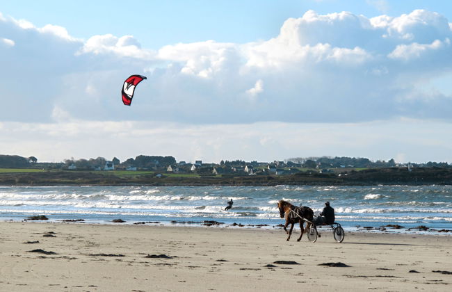 des Brigadies - Foto 20