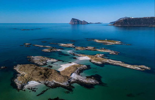 Excursão ao fiorde e ilha de Kvaløya - Foto 2