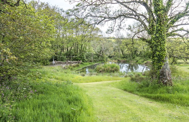 Fern Cottage - 1 Bedroom - Tiers Cross - Foto 37