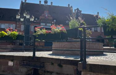 La Terrasse du Vignoble - Garage et parking privatifs - Photo 23